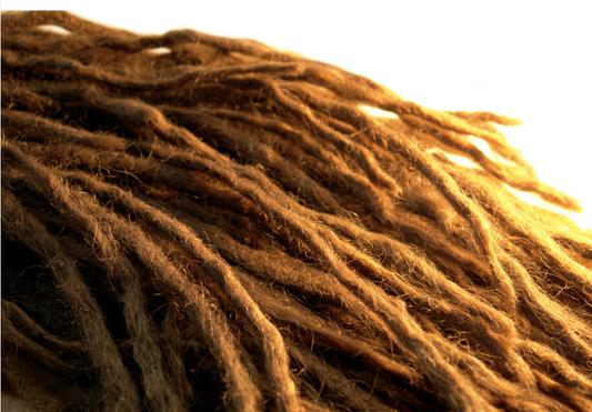 blonde sisterlocks