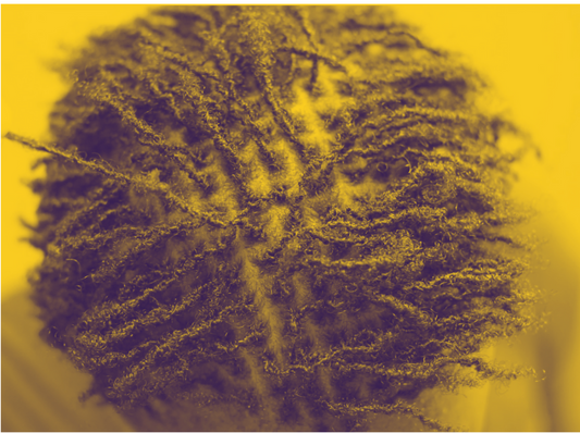 Your First Year Of Sisterlocks: 7 Things No One Tells You